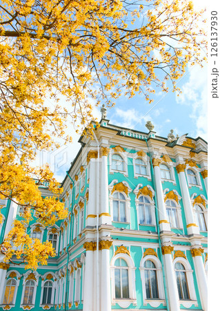 the incredibly picturesque facade of the Winter Palace through the branches of trees on a clear spring day, the heritage of Russia, the most famous landmark of St. Petersburg, the museum the incredibly picturesque facade of the Winter Palace through the branches of trees on a clear spring day, the heritage of Russia, the most famous landmark of St. Petersburg, the museum 126137930