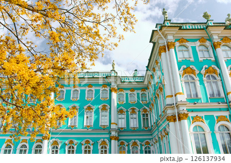 the incredibly picturesque facade of the Winter Palace through the branches of trees on a clear spring day, the heritage of Russia, the most famous landmark of St. Petersburg, the museum 126137934