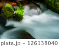 新緑の木谷沢 126138040