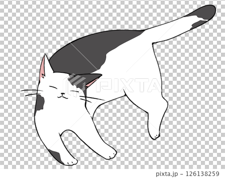 白黒猫 リラックス 126138259