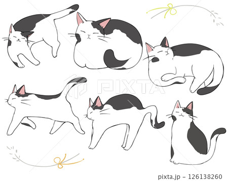 白黒猫 まとめ 126138260