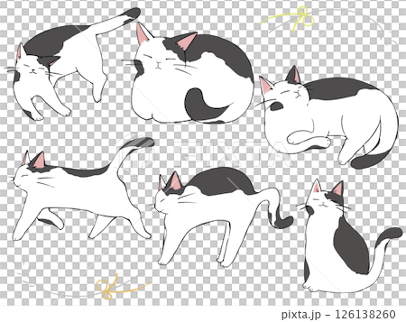 白黒猫 まとめ 126138260