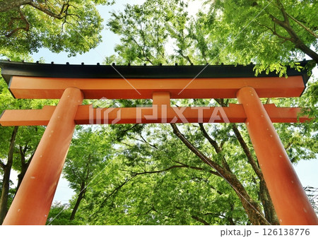 大宮氷川神社二の鳥居 126138776