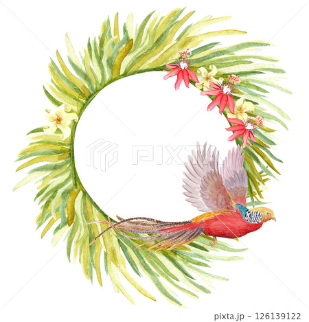 Flying golden pheasant, palm leaves, red white tropical flowers watercolor wreath. Hand drawn rainforest nature isolated clipart, sketch style. Exotic paradise bird and plants round frame illustration Flying golden pheasant, palm leaves, red white tropical flowers watercolor wreath. Hand drawn rainforest nature isolated clipart, sketch style. Exotic paradise bird and plants round frame illustration 126139122