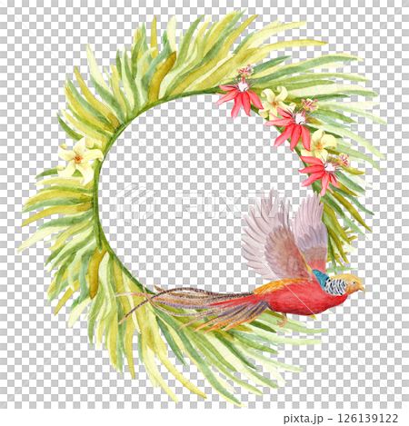 Flying golden pheasant, palm leaves, red white tropical flowers watercolor wreath. Hand drawn rainforest nature isolated clipart, sketch style. Exotic paradise bird and plants round frame illustration Flying golden pheasant, palm leaves, red white tropical flowers watercolor wreath. Hand drawn rainforest nature isolated clipart, sketch style. Exotic paradise bird and plants round frame illustration 126139122