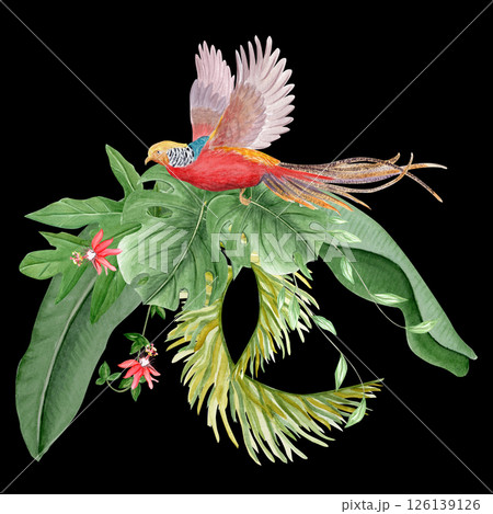 Flying bird of paradise, palm leaves and passion flowers watercolor illustration on black. Hand drawn rainforest nature isolated clipart, sketch style. Exotic paradise bird and Monstera, liana plants 126139126