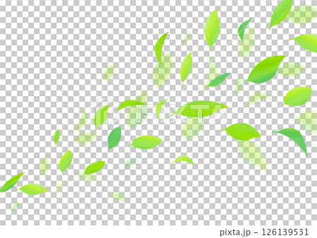 Background material with fresh green leaves fluttering 126139531