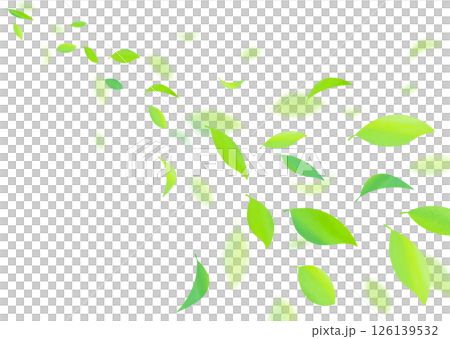 爽やかな新緑の葉が舞う背景素材 126139532