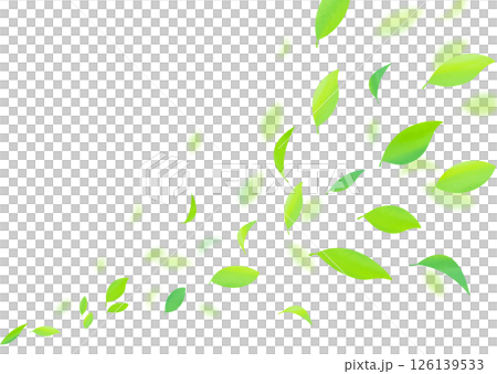 爽やかな新緑の葉が舞う背景素材 爽やかな新緑の葉が舞う背景素材 126139533
