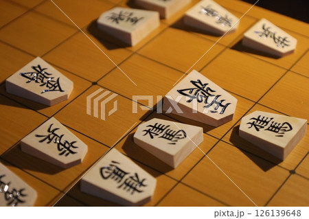 将棋の第83期名人戦第2局の投了棋譜 将棋の第83期名人戦第2局の投了棋譜 126139648