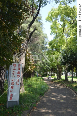 並木道　八王子市 126139832