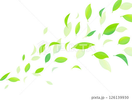 爽やかな新緑の葉が舞うベクター素材 爽やかな新緑の葉が舞うベクター素材 126139930