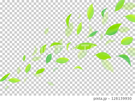 爽やかな新緑の葉が舞うベクター素材 爽やかな新緑の葉が舞うベクター素材 126139930
