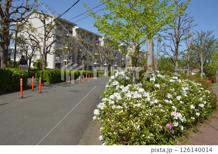 集合住宅の春　八王子市 126140014