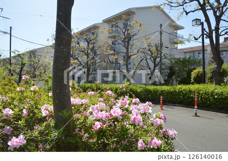 集合住宅の春　八王子市 126140016
