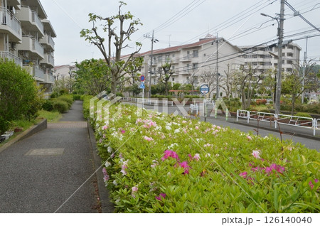 集合住宅の春　八王子市 126140040