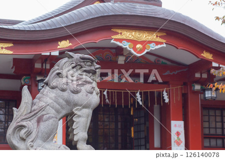 【日本】東京都品川の旗岡八幡神社の本殿前に佇む狛犬の石像 【日本】東京都品川の旗岡八幡神社の本殿前に佇む狛犬の石像 126140078