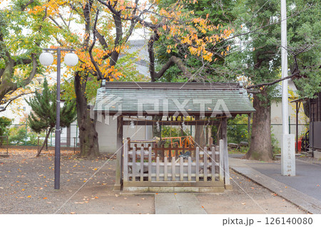 【日本】東京都品川の旗岡八幡神社の境内にある小さな手水舎の外観と紅葉した樹木 【日本】東京都品川の旗岡八幡神社の境内にある小さな手水舎の外観と紅葉した樹木 126140080