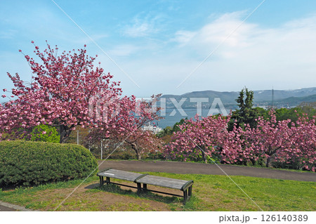 小樽　手宮緑化植物園 126140389