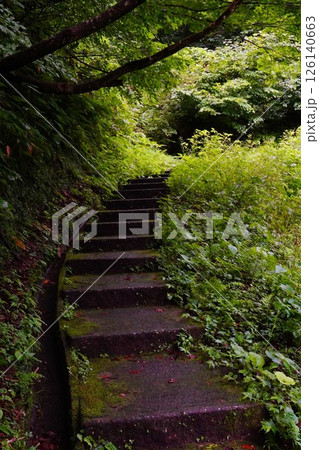 雨の日の山道の階段。自然豊かで緑に覆われた山道。 雨の日の山道の階段。自然豊かで緑に覆われた山道。 126140663