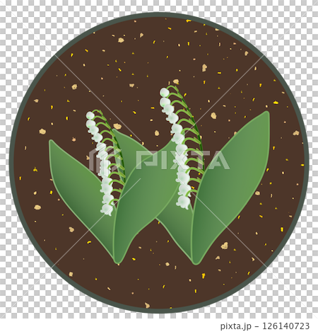 Lily of the valley illustration with circular background 126140723