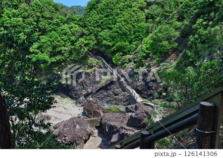 えびす洞の遊歩道 126141306