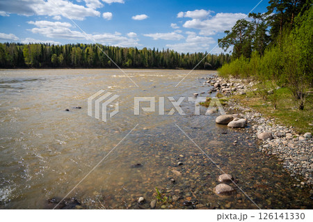 Wide view of the Biya River flowing through the Altai region of Russia. Concept of purity, natural power, and meditative stillness in untouched wilderness Wide view of the Biya River flowing through the Altai region of Russia. Concept of purity, natural power, and meditative stillness in untouched wilderness 126141330