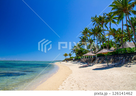 オセアニア　フィジー共和国ビティレブ島南部コーラルコーストの街コロトゴ　青空のビーチとヤシの木 126141462