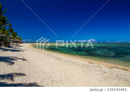 オセアニア　フィジー共和国ビティレブ島南部コーラルコーストの街コロトゴ　青空のビーチとヤシの木 126141463