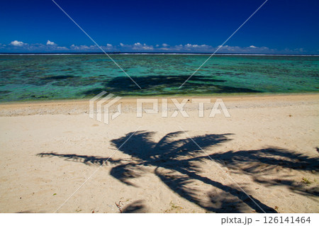 オセアニア　フィジー共和国ビティレブ島南部コーラルコーストの街コロトゴ　青空のビーチとヤシの木 126141464