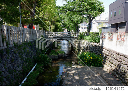 岐阜県大垣市　八幡神社そばの水門川支流 126141472