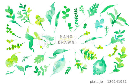 水彩画。水彩タッチの草木のベクターイラスト。水彩画の緑の葉っぱ素材。環境。エコ。 126141981