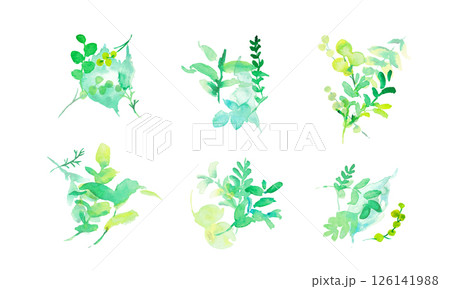 水彩画。水彩タッチの草木のベクターイラスト。水彩画の緑の葉っぱ素材。環境。エコ。 126141988
