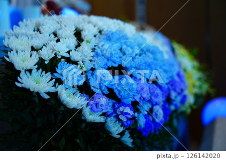 お洒落な花祭壇 お洒落な花祭壇 126142020