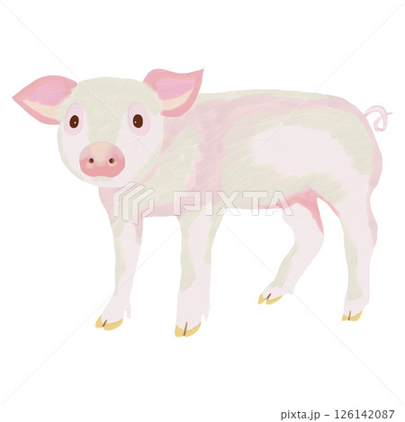 油彩ブラシで描いたかわいい子豚のイラスト　クリップアート　挿絵　png 126142087
