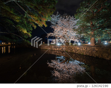 水面に反射して咲く夜桜　香川県の栗林公園　 126142190