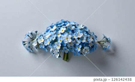 Elegant cluster of forget me nots in a minimalist style, with baby blue and soft white tones Elegant cluster of forget me nots in a minimalist style, with baby blue and soft white tones 126142438