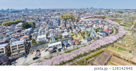 空撮「埼玉県」見沼田んぼの春 日本一の桜回廊 空撮「埼玉県」見沼田んぼの春 日本一の桜回廊 126142948