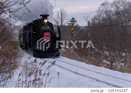 北海道　大鷲　オジロワシ　オオオワシ　鳥　動物　冬 126143297