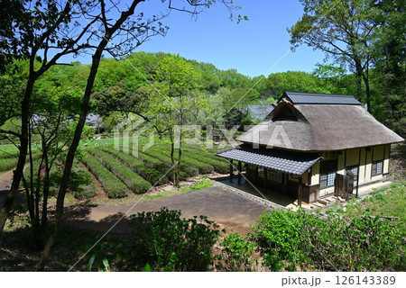 ぎふ清流里山公園の昭和の風景 126143389