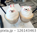 ラテアートのうさぎとくま 126143463