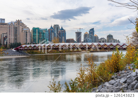秋景色のピースブリッジ、プリンスズアイランド公園 ボー川、カルガリー 秋景色のピースブリッジ、プリンスズアイランド公園 ボー川、カルガリー 126143823