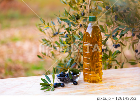 Bottle of oil and olives in salad bowl under tree branches Bottle of oil and olives in salad bowl under tree branches 126145052
