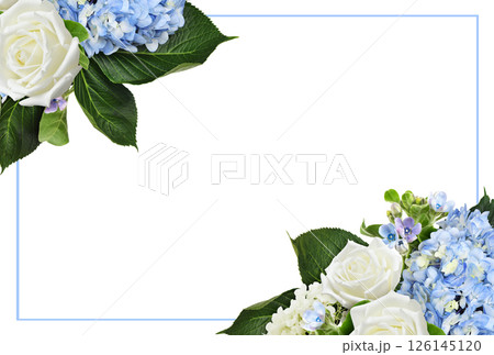 Blue hydrangea, white rose flowers in a floral corner arrangements with frame isolated on white background Blue hydrangea, white rose flowers in a floral corner arrangements with frame isolated on white background 126145120