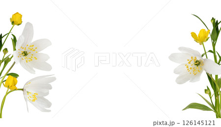 Wild anemones and wild ranunculus flowers in acorner floral arrangements isolated on white Wild anemones and wild ranunculus flowers in acorner floral arrangements isolated on white 126145121