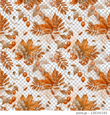 Seamless pattern of autumn maple leaves,physalis,mountain ash with oak leaves and a bunch of rowan berries.Watercolor seamless pattern on transparent background 126145193
