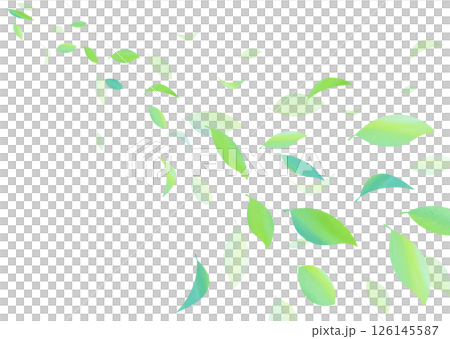 爽やかな若葉の葉が舞うベクター素材 126145587
