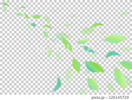 爽やかな青葉が舞う背景素材 爽やかな青葉が舞う背景素材 126145729