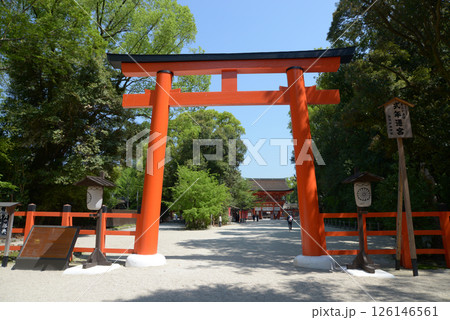 下鴨神社　参道の鳥居　京都市左京区 126146561