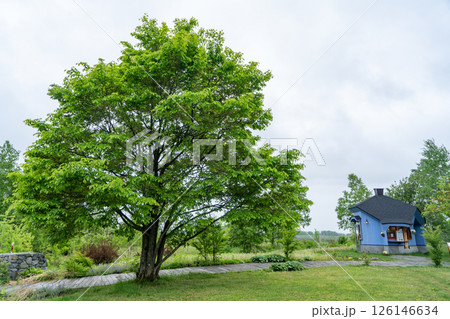 フェルム ラ・テール美瑛の丘 フェルム ラ・テール美瑛の丘 126146634